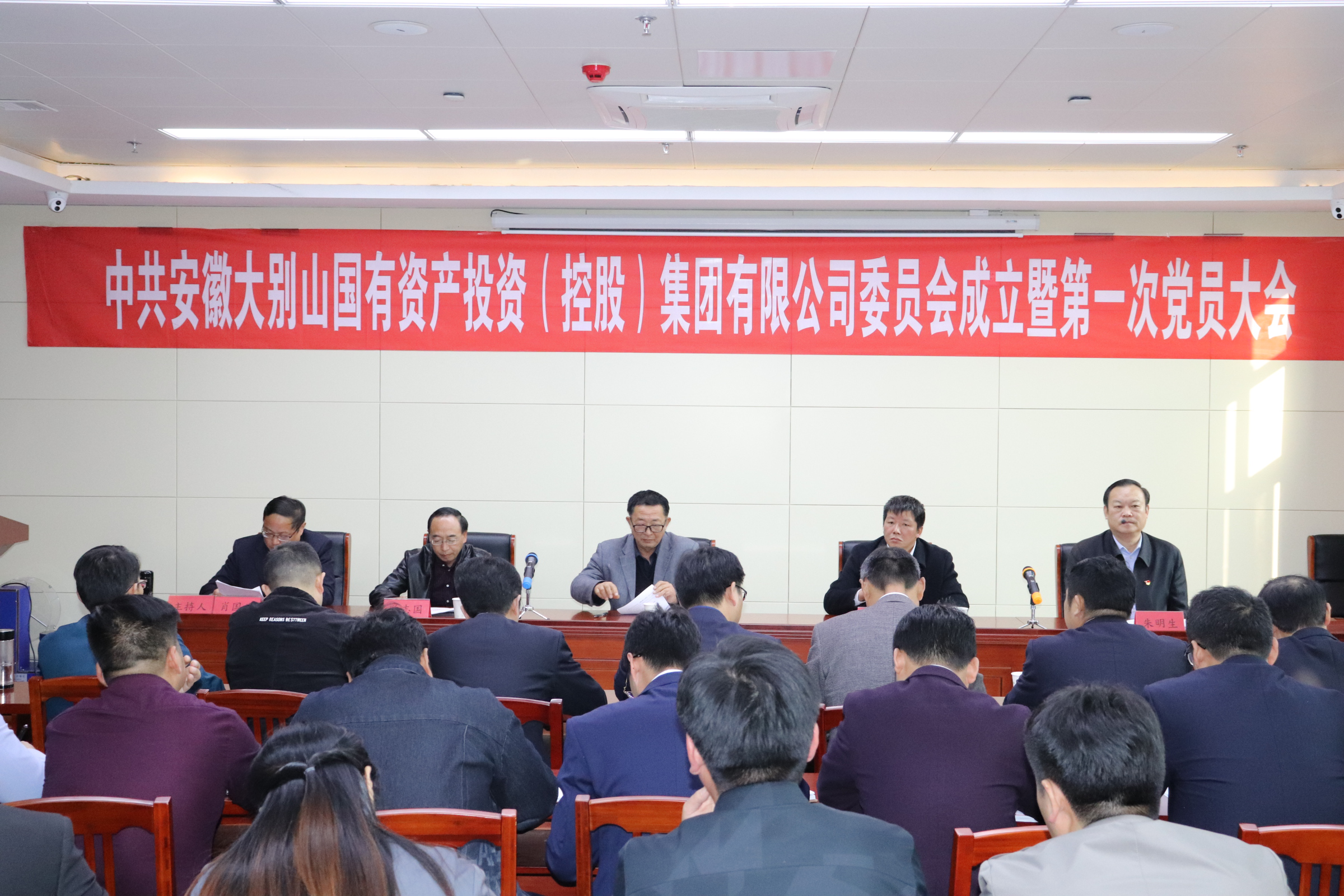 大別山國(guó)投集團(tuán)黨委、紀(jì)委正式成立
