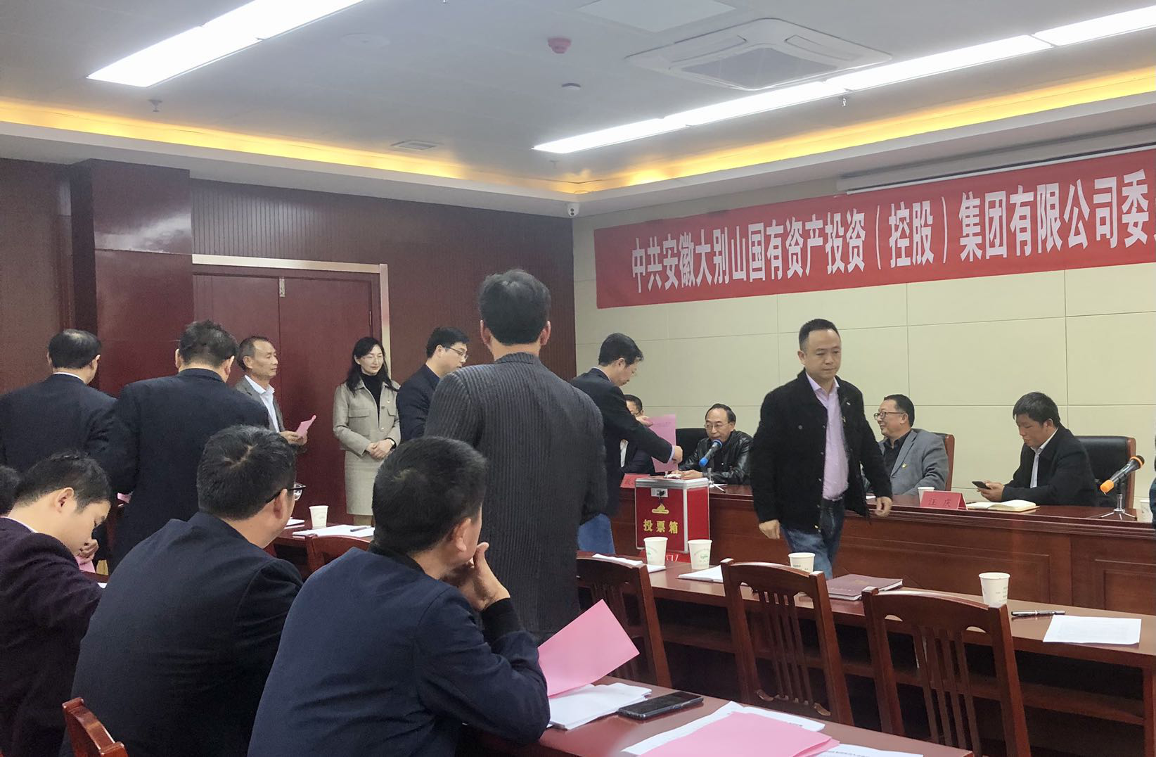 大別山國(guó)投集團(tuán)黨委、紀(jì)委正式成立