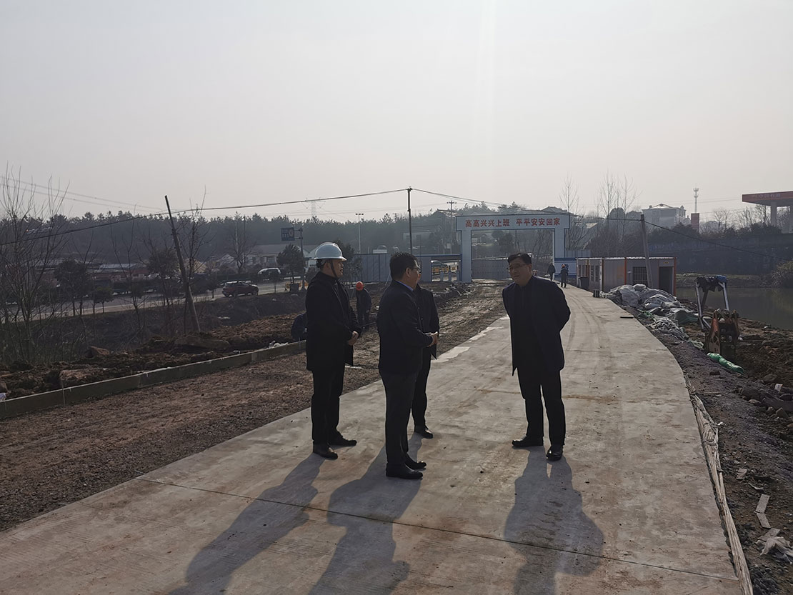 李傳江調(diào)研礦產(chǎn)公司重點項目建設(shè)