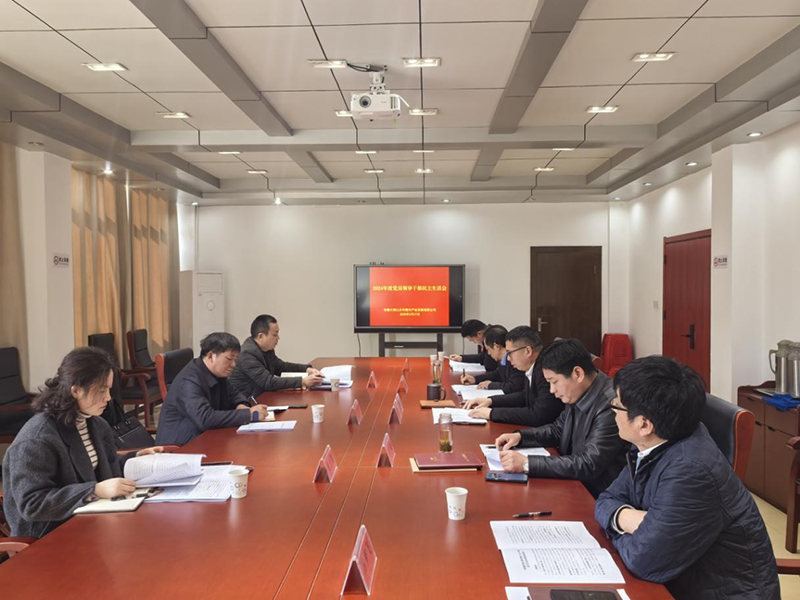 鄉(xiāng)村振興公司召開2024年度黨員領(lǐng)導(dǎo)干部民主生活會(huì)