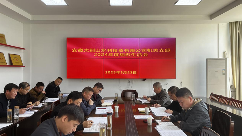 水投公司機(jī)關(guān)支部召開2024年度組織生活會(huì)