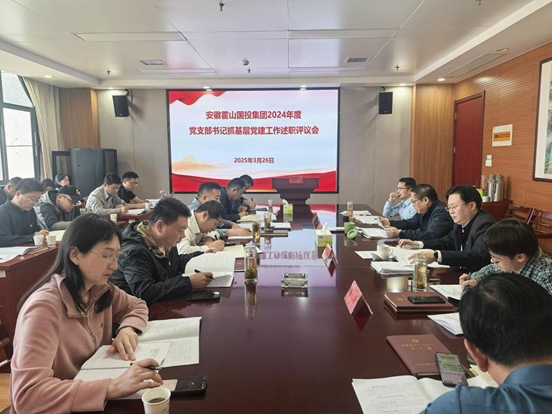 集團(tuán)黨委組織開(kāi)展2024年度黨支部書(shū)記抓基層黨建工作述職評(píng)議
