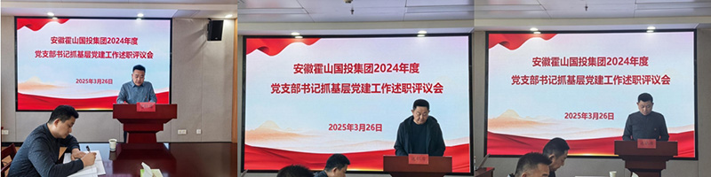 集團(tuán)黨委組織開(kāi)展2024年度黨支部書(shū)記抓基層黨建工作述職評(píng)議