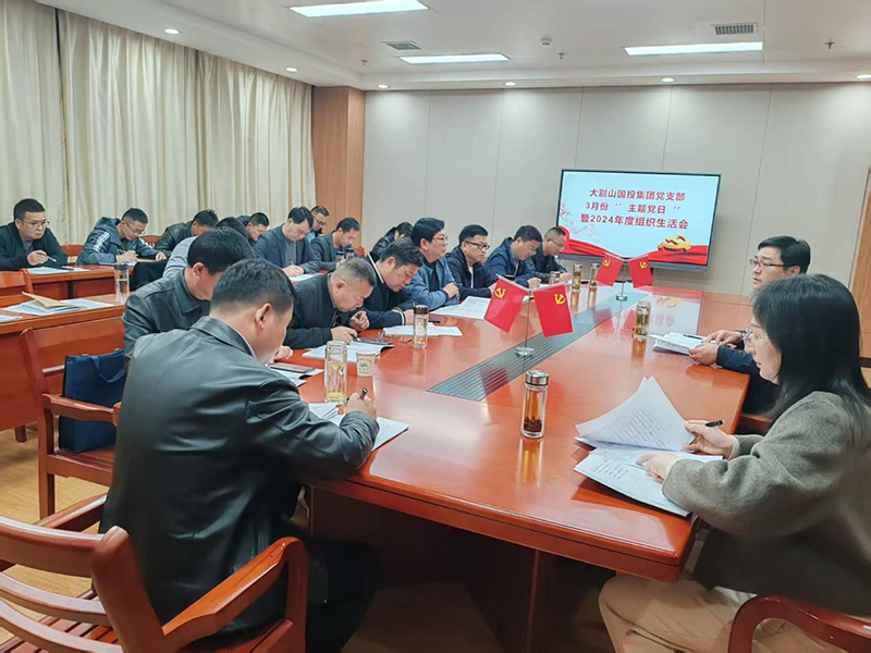大別山國(guó)投集團(tuán)黨支部召開(kāi)2024年度組織生活會(huì)