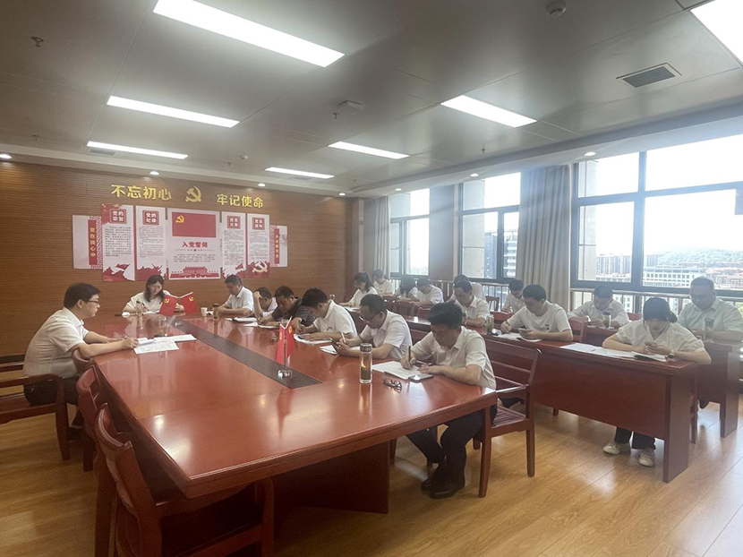 大別山國投集團(tuán)黨支部組織開展主題黨日活動(dòng)