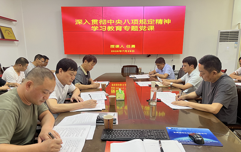 淠河水能公司黨支部開展專題黨課學習活動